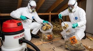 Fjerning av avføring og gris etter rotter