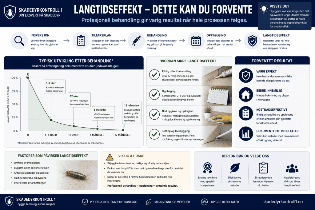 Infografikk som viser forventet reduksjon i skjeggkreaktivitet etter en profesjonell behandling.