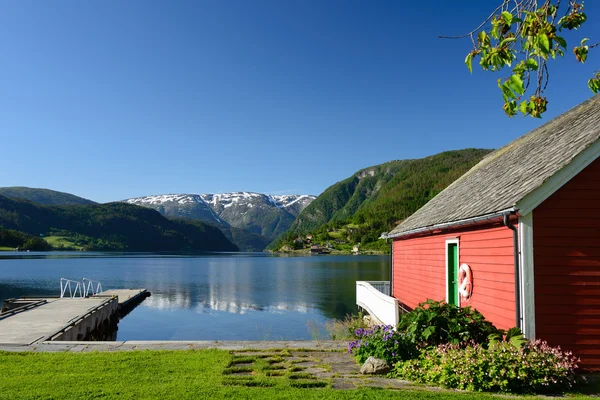 røyskatt trives i båtnaust