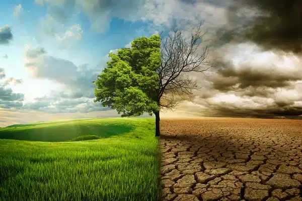klimaforandringer