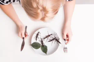 spise insekter