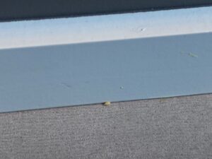 Droplet size silverfish control