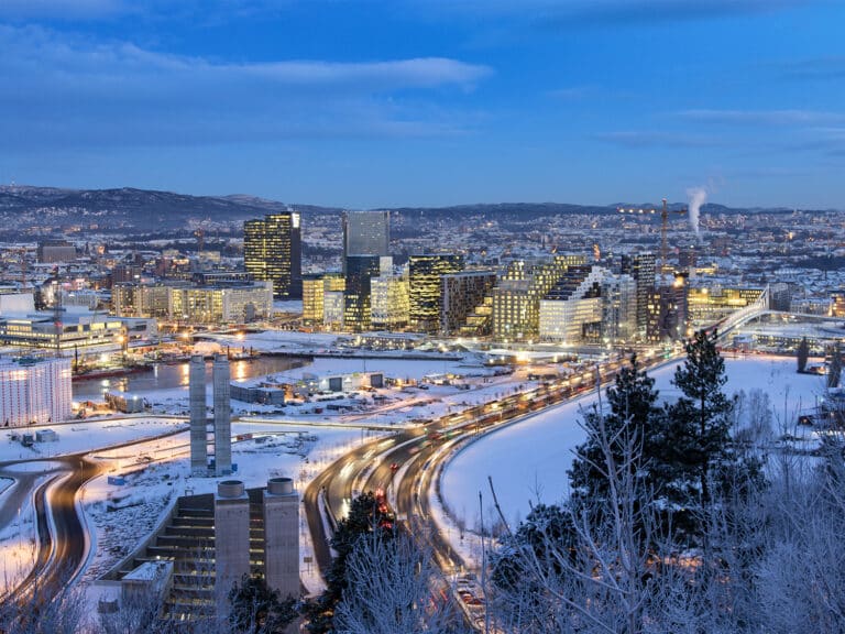 Skadedyrkontroll Oslo 2 oslo