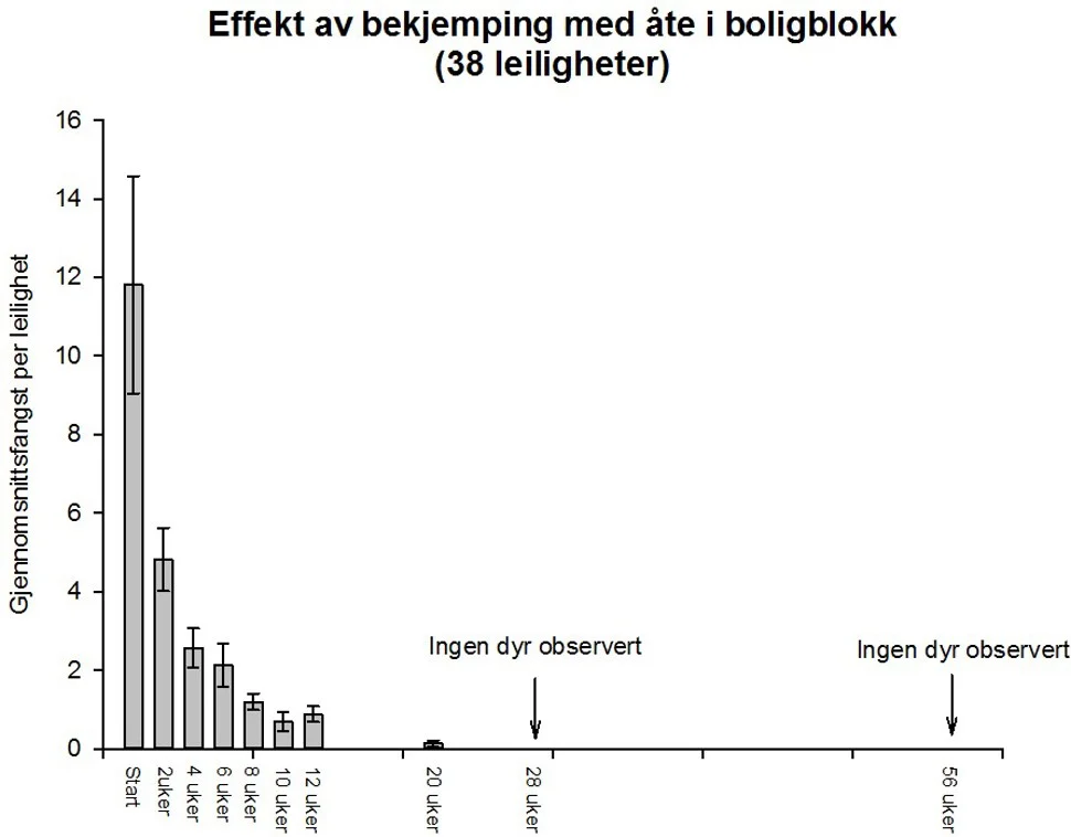 Infografikk som viser forventet utvikling etter profesjonell bekjempelse av skjeggkre. Resultat av bekjempelse av skjeggkre i boligblokk