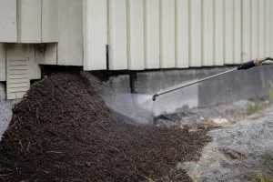 Bekjempelse av stokkmaur – hovedbilde i Vennesla